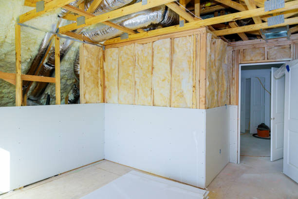 Professional Insulation Contractor in Ocoee, FL